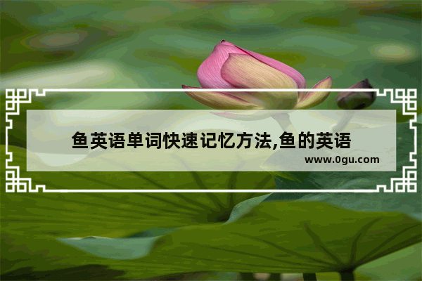 鱼英语单词快速记忆方法,鱼的英语