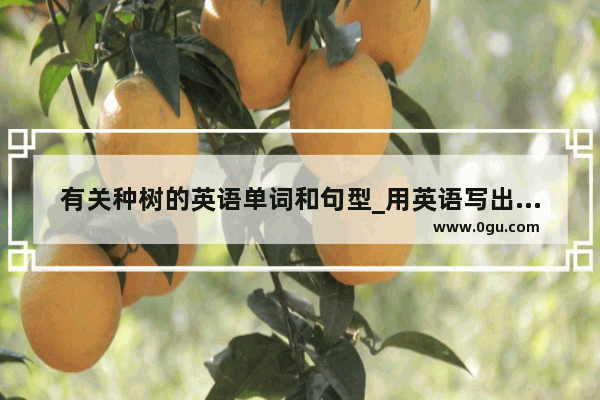 有关种树的英语单词和句型_用英语写出植树的几个步骤