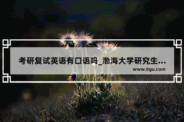 考研复试英语有口语吗_渤海大学研究生复试英语口语都考什么