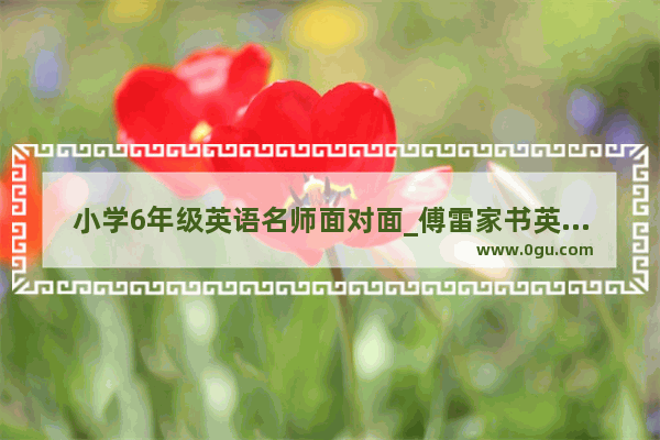 小学6年级英语名师面对面_傅雷家书英语特级教师是谁
