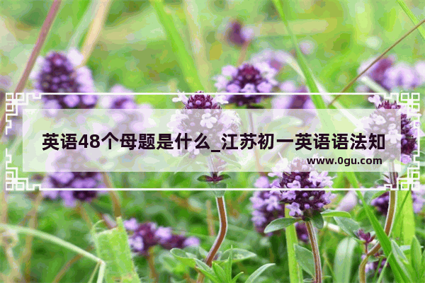 英语48个母题是什么_江苏初一英语语法知识点总结