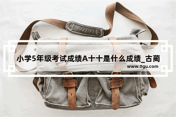 小学5年级考试成绩A十十是什么成绩_古蔺读什么