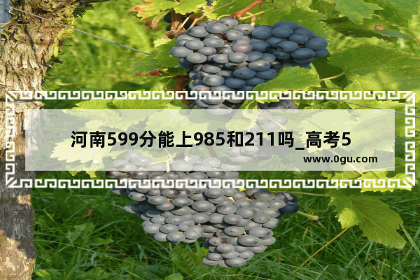 河南599分能上985和211吗_高考599是什么水平
