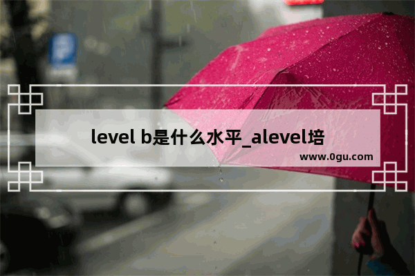 level b是什么水平_alevel培训机构排名