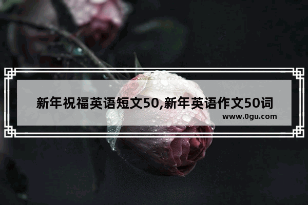 新年祝福英语短文50,新年英语作文50词