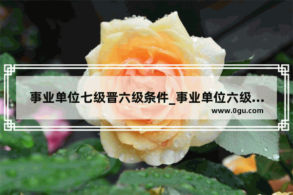 事业单位七级晋六级条件_事业单位六级是什么概念