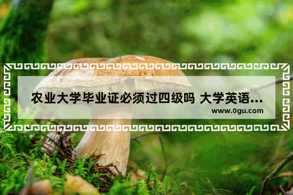 农业大学毕业证必须过四级吗 大学英语四级要求