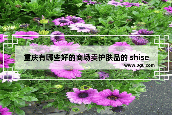 重庆有哪些好的商场卖护肤品的 shiseido这个牌子 重庆雅思兰黛专柜