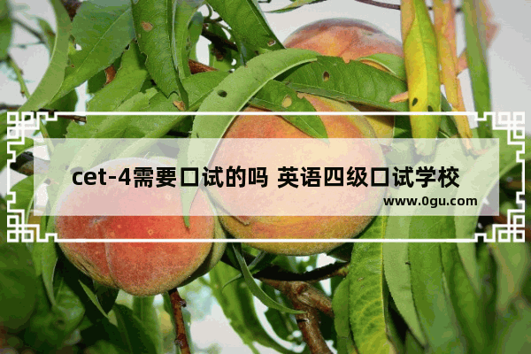 cet-4需要口试的吗 英语四级口试学校