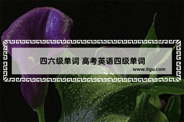 四六级单词 高考英语四级单词