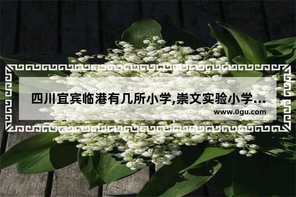 四川宜宾临港有几所小学,崇文实验小学英语