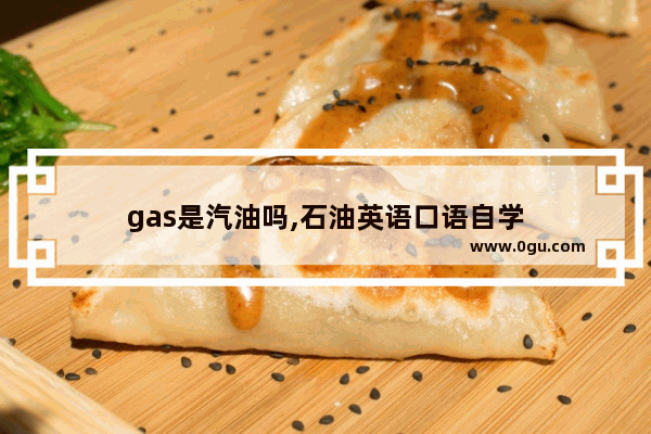 gas是汽油吗,石油英语口语自学