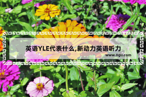 英语YLE代表什么,新动力英语听力