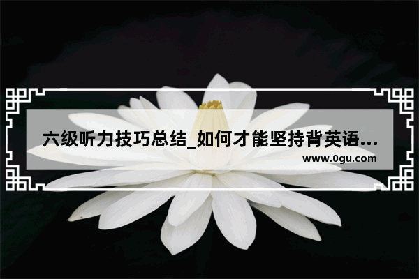 六级听力技巧总结_如何才能坚持背英语六级单词