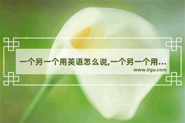 一个另一个用英语怎么说,一个另一个用英语怎么说