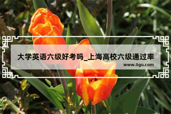 大学英语六级好考吗_上海高校六级通过率