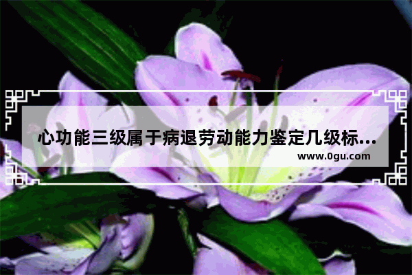 心功能三级属于病退劳动能力鉴定几级标准,心绞痛英语四级