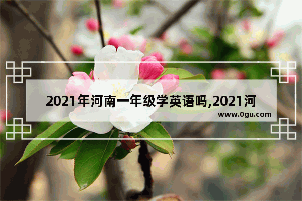2021年河南一年级学英语吗,2021河南3级英语考试