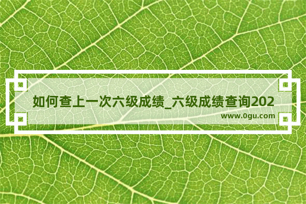 如何查上一次六级成绩_六级成绩查询2023怎么查