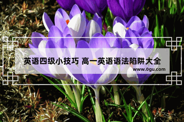 英语四级小技巧 高一英语语法陷阱大全
