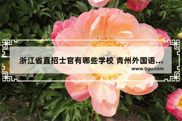 浙江省直招士官有哪些学校 青州外国语英语考试