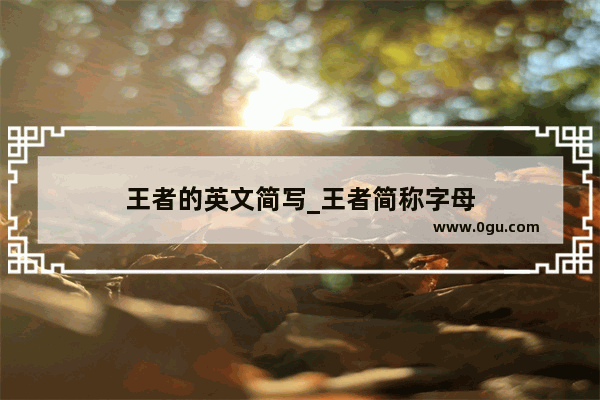 王者的英文简写_王者简称字母