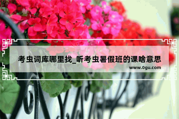 考虫词库哪里找_听考虫暑假班的课啥意思