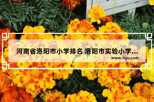 河南省洛阳市小学排名 洛阳市实验小学英语