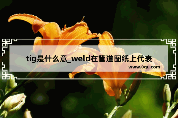 tig是什么意_weld在管道图纸上代表什么