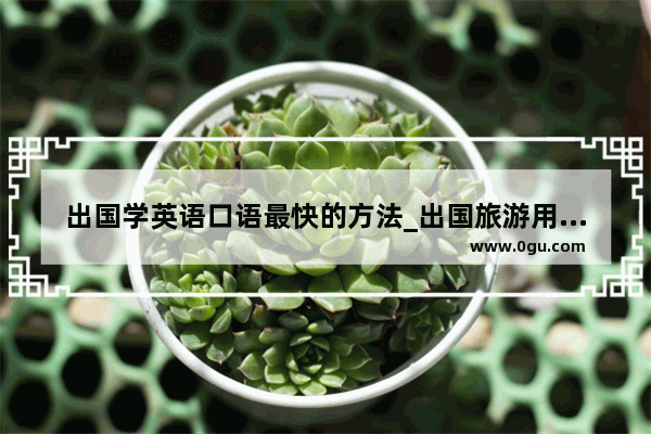 出国学英语口语最快的方法_出国旅游用什么英语口语类APP