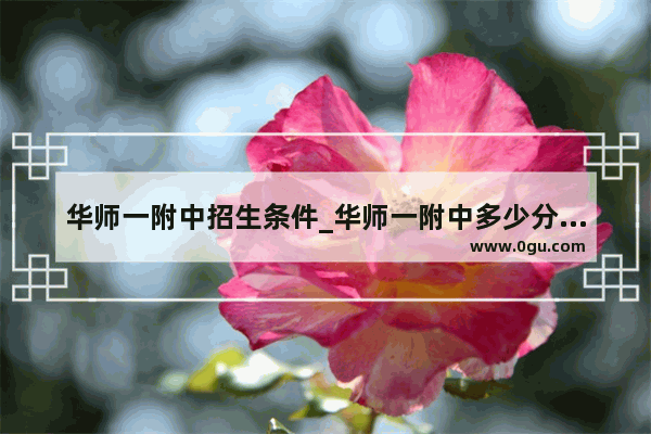 华师一附中招生条件_华师一附中多少分可以摇号