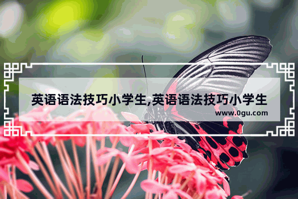 英语语法技巧小学生,英语语法技巧小学生
