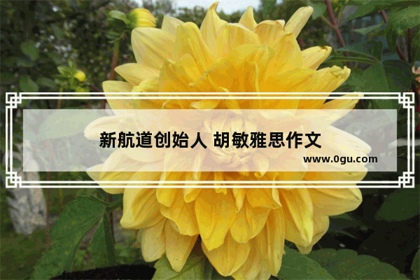 新航道创始人 胡敏雅思作文