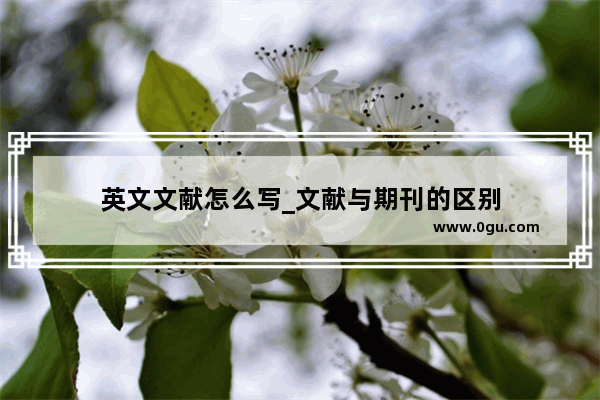 英文文献怎么写_文献与期刊的区别