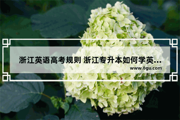 浙江英语高考规则 浙江专升本如何学英语考试