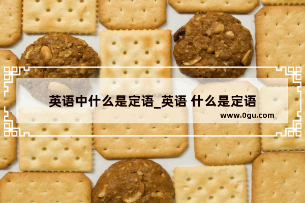 英语中什么是定语_英语 什么是定语