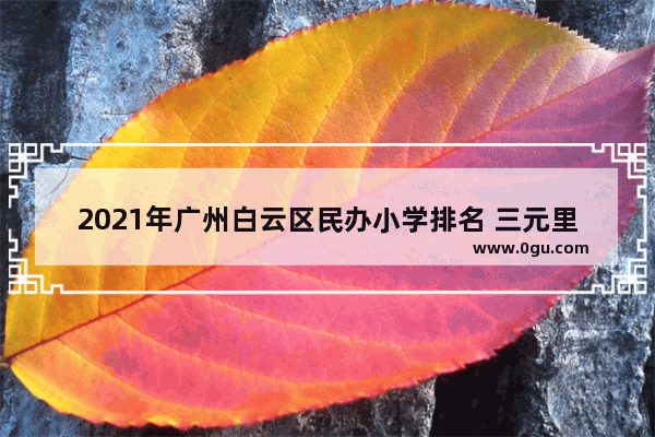 2021年广州白云区民办小学排名 三元里小学英语