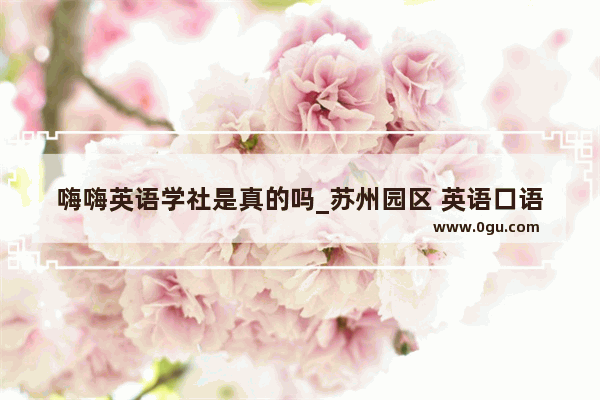 嗨嗨英语学社是真的吗_苏州园区 英语口语