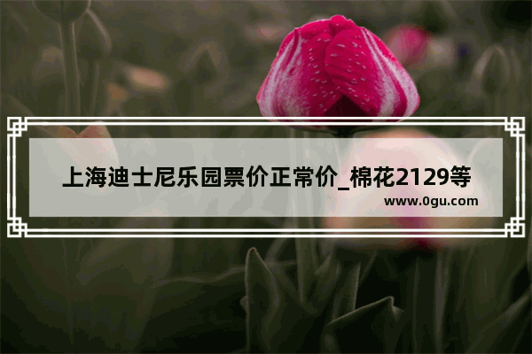 上海迪士尼乐园票价正常价_棉花2129等级是什么意思