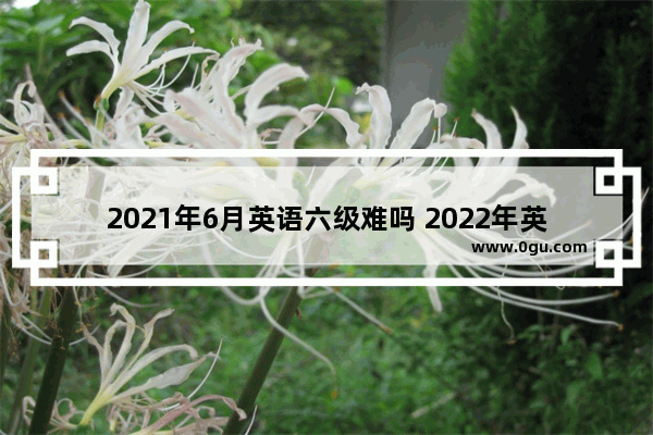2021年6月英语六级难吗 2022年英语六级单词