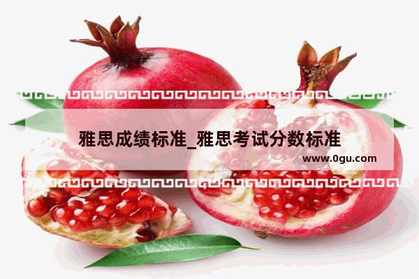 雅思成绩标准_雅思考试分数标准