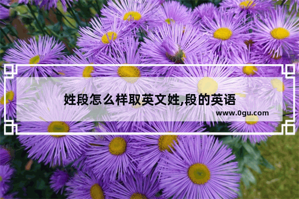姓段怎么样取英文姓,段的英语