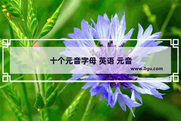 十个元音字母 英语 元音