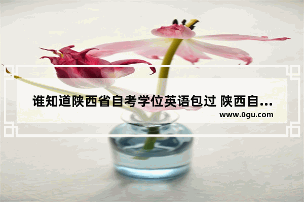 谁知道陕西省自考学位英语包过 陕西自考学位英语考试