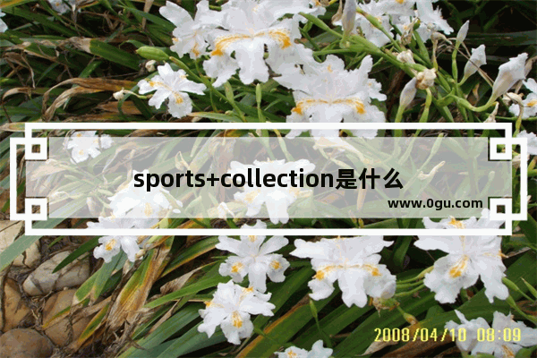 sports+collection是什么意思 我的体育收藏英语作文