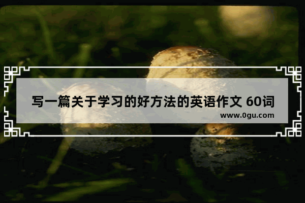 写一篇关于学习的好方法的英语作文 60词以上_how to develop our good learning habits英语作文