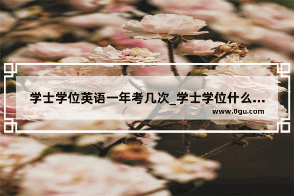 学士学位英语一年考几次_学士学位什么时候考