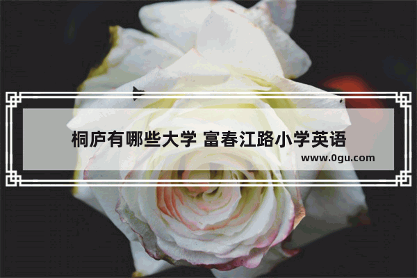 桐庐有哪些大学 富春江路小学英语