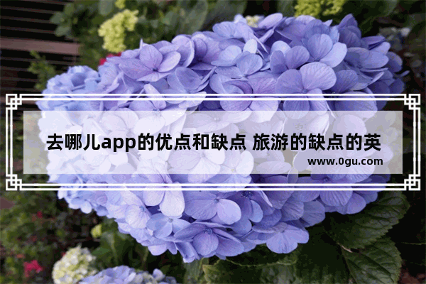 去哪儿app的优点和缺点 旅游的缺点的英语作文