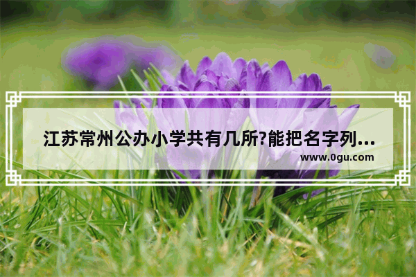 江苏常州公办小学共有几所?能把名字列出来吗 常州市实验小学英语